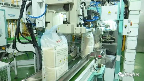 射陽(yáng)大米首獲省政府農(nóng)業(yè)技術(shù)推廣獎(jiǎng)，技術(shù)創(chuàng)新引領(lǐng)產(chǎn)業(yè)升級(jí)